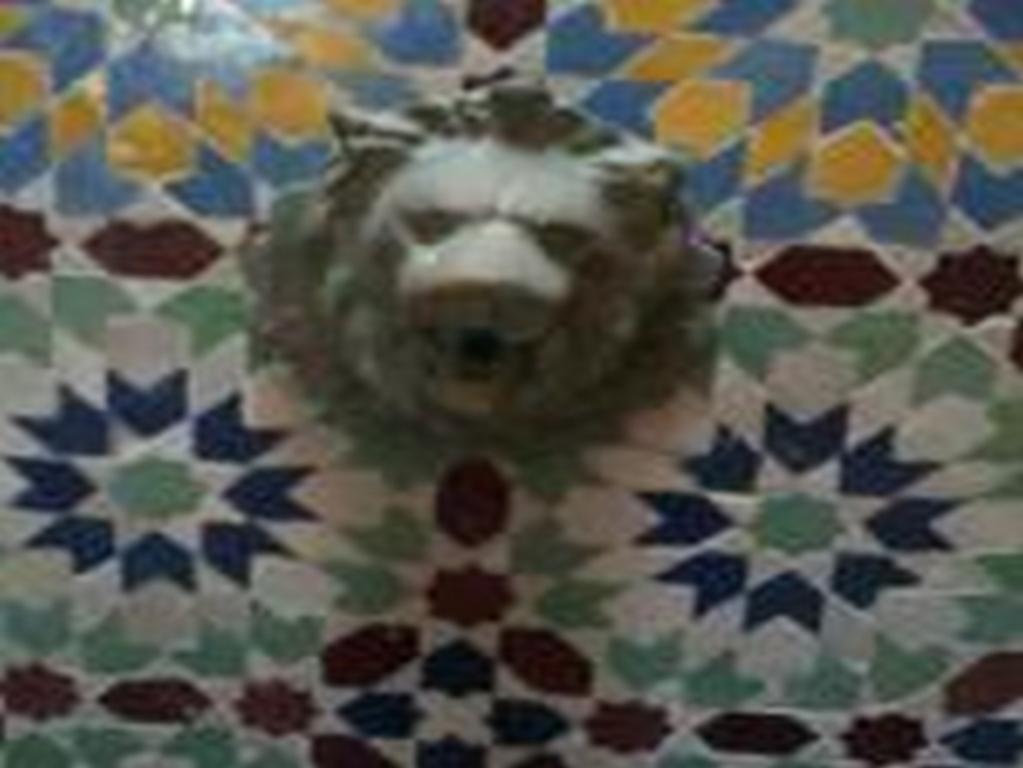 Riad Etoile D'Essaouira Exteriör bild